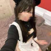 ヒメ日記 2025/06/14 10:00 投稿 ココミ いたずらバニーちゃん