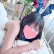 ヒメ日記 2025/07/12 10:20 投稿 ココミ いたずらバニーちゃん