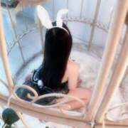 ヒメ日記 2025/07/17 07:40 投稿 ココミ いたずらバニーちゃん