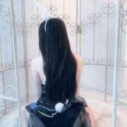 ヒメ日記 2025/08/01 06:20 投稿 ココミ いたずらバニーちゃん