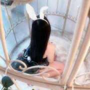 ヒメ日記 2025/08/29 15:50 投稿 ココミ いたずらバニーちゃん