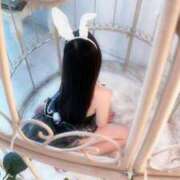 ヒメ日記 2026/04/03 11:50 投稿 ココミ いたずらバニーちゃん