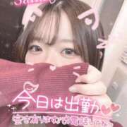 ヒメ日記 2025/02/20 07:32 投稿 さな 川越ぽちゃまに