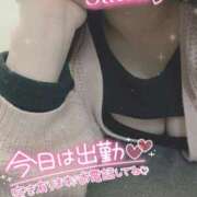 ヒメ日記 2025/03/03 12:03 投稿 さな 川越ぽちゃまに