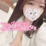 ヒメ日記 2025/03/21 16:32 投稿 さな 川越ぽちゃまに