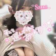 ヒメ日記 2025/03/23 09:32 投稿 さな 川越ぽちゃまに