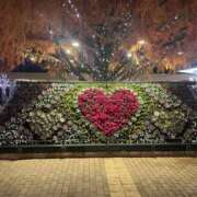 ヒメ日記 2025/12/06 12:42 投稿 さな 川越ぽちゃまに