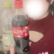 ヒメ日記 2025/12/11 17:12 投稿 さな 川越ぽちゃまに