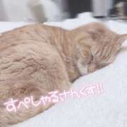 ヒメ日記 2026/03/15 07:32 投稿 さな 川越ぽちゃまに