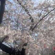 ヒメ日記 2026/03/31 09:32 投稿 さな 川越ぽちゃまに