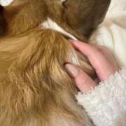 ヒメ日記 2025/03/08 16:30 投稿 れおん 西船人妻花壇