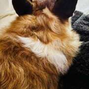 ヒメ日記 2025/11/25 17:10 投稿 れおん 西船人妻花壇