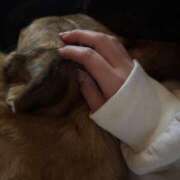 ヒメ日記 2026/02/01 08:17 投稿 れおん 西船人妻花壇