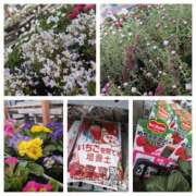 ヒメ日記 2025/02/28 20:32 投稿 沢村愛優美 五十路マダム金沢店