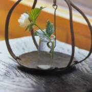 ヒメ日記 2025/03/22 09:34 投稿 沢村愛優美 五十路マダム金沢店