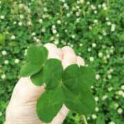 ヒメ日記 2025/03/23 19:44 投稿 沢村愛優美 五十路マダム金沢店