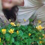 ヒメ日記 2025/04/07 08:02 投稿 沢村愛優美 五十路マダム金沢店