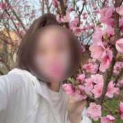 ヒメ日記 2025/04/08 09:02 投稿 沢村愛優美 五十路マダム金沢店