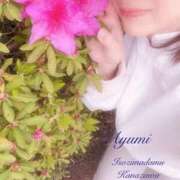 ヒメ日記 2025/04/25 07:52 投稿 沢村愛優美 五十路マダム金沢店