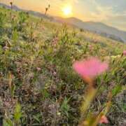 ヒメ日記 2025/06/30 09:52 投稿 沢村愛優美 五十路マダム金沢店