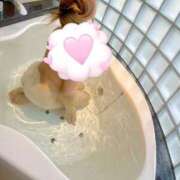 ヒメ日記 2025/01/22 16:00 投稿 杏柚(あゆ) 人妻城 横浜本店