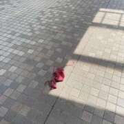 ヒメ日記 2025/03/05 16:59 投稿 杏柚(あゆ) 人妻城 横浜本店