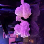 ヒメ日記 2025/03/16 00:46 投稿 あいり みつばちマーヤZ