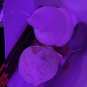 ヒメ日記 2025/06/03 01:16 投稿 あいり みつばちマーヤZ