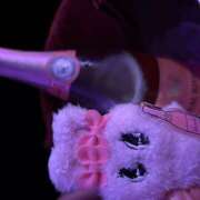 ヒメ日記 2025/08/02 01:19 投稿 あいり みつばちマーヤZ