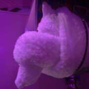 ヒメ日記 2025/08/06 01:19 投稿 あいり みつばちマーヤZ