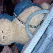 ヒメ日記 2025/09/14 23:58 投稿 あいり みつばちマーヤZ