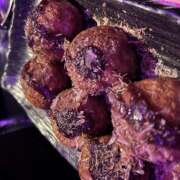 ヒメ日記 2025/10/25 01:21 投稿 あいり みつばちマーヤZ