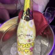 ヒメ日記 2026/03/15 01:31 投稿 あいり みつばちマーヤZ