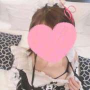 ヒメ日記 2025/01/31 00:19 投稿 さくらこ サティアンまーと