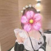 ヒメ日記 2025/02/06 21:09 投稿 さくらこ サティアンまーと