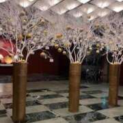 ヒメ日記 2024/12/23 08:49 投稿 青葉【アオバ】 LOVEキタ兎我野店