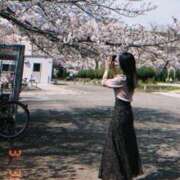 ヒメ日記 2025/03/31 17:43 投稿 青葉【アオバ】 LOVEキタ兎我野店