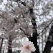 ヒメ日記 2025/04/01 19:29 投稿 青葉【アオバ】 LOVEキタ兎我野店