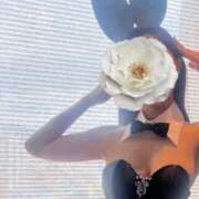 ヒメ日記 2025/04/16 22:00 投稿 青葉【アオバ】 LOVEキタ兎我野店