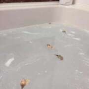 ヒメ日記 2025/12/06 22:33 投稿 青葉【アオバ】 LOVEキタ兎我野店