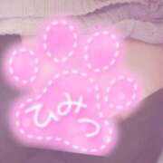 ヒメ日記 2024/12/10 21:48 投稿 ゆき 静岡駅前ちゃんこ