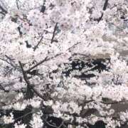 ヒメ日記 2025/04/07 11:15 投稿 はるか 逢って30秒で即尺