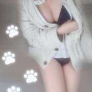 ヒメ日記 2025/04/17 15:07 投稿 にこ 茨城ちゃんこ土浦つくば店