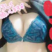 ヒメ日記 2025/11/20 15:25 投稿 にこ 茨城ちゃんこ土浦つくば店