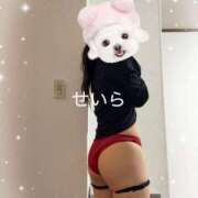 ヒメ日記 2025/05/29 11:54 投稿 聖空-Seira- 姉新地