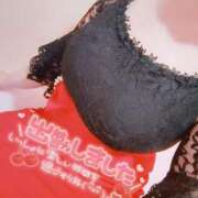 ヒメ日記 2025/02/06 13:49 投稿 ちさ セクシーキャット 小田原店