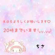 ヒメ日記 2025/02/13 12:22 投稿 ちさ セクシーキャット 小田原店