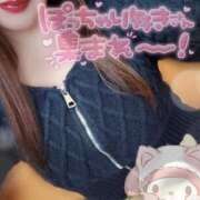 ヒメ日記 2025/03/13 13:03 投稿 ちさ セクシーキャット 小田原店