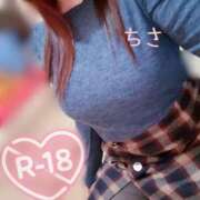 ヒメ日記 2025/03/14 18:20 投稿 ちさ セクシーキャット 小田原店