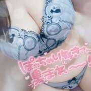 ヒメ日記 2025/06/29 07:30 投稿 ちさ セクシーキャット 小田原店